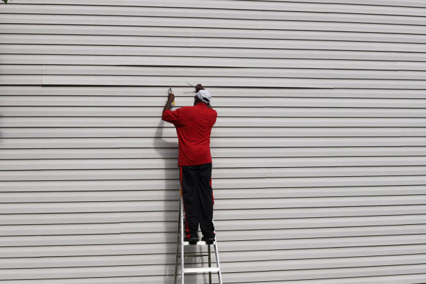Best Steel Siding Installation  in Sikeston, MO